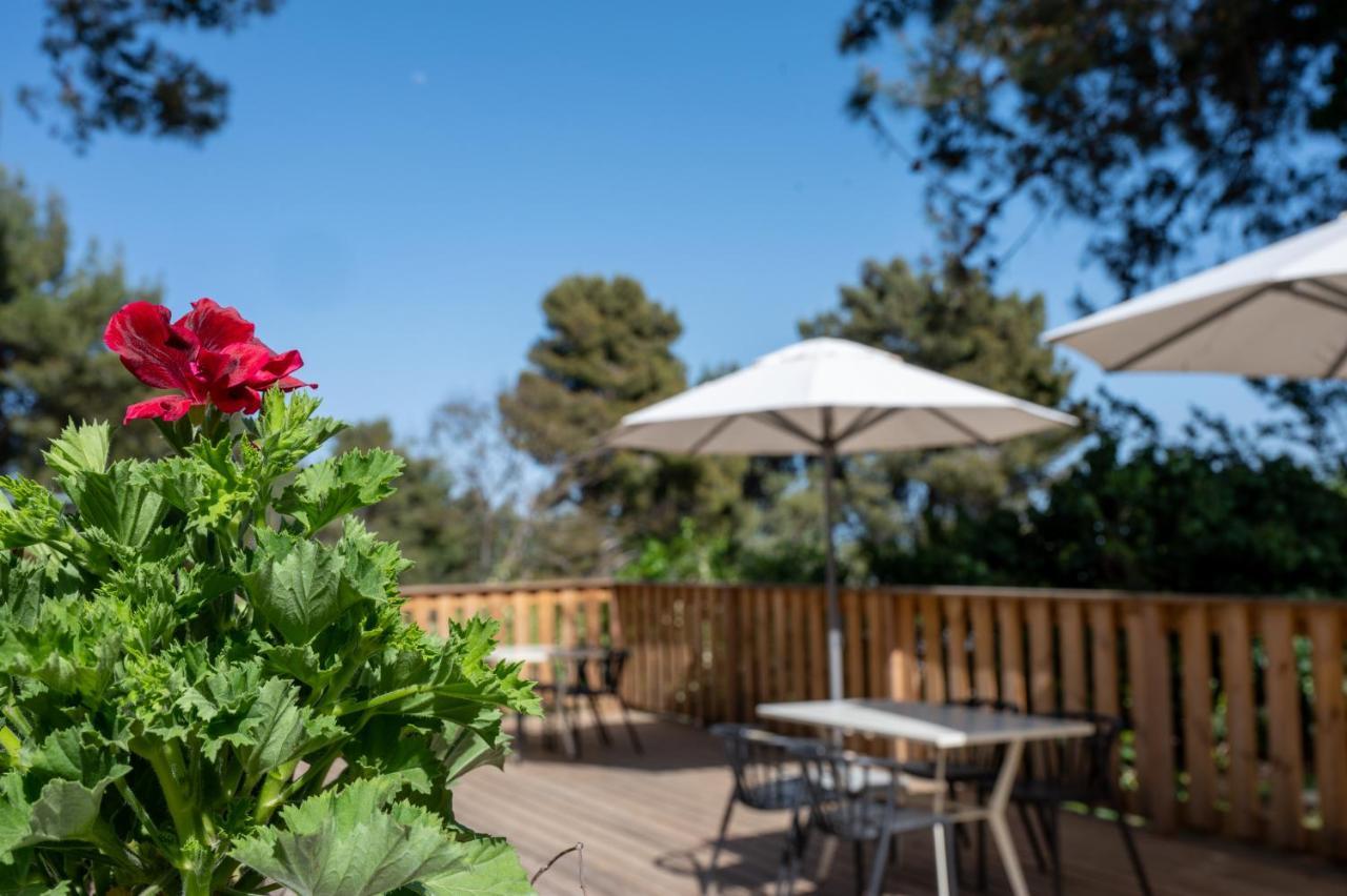 Kibbutz Malkiya Travel Hotel Malkiyya Dış mekan fotoğraf